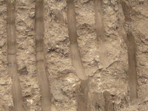 Texture of dark brown dirt wall with smooth vertical marks dug into it and an area of green and yellow grass at the top.